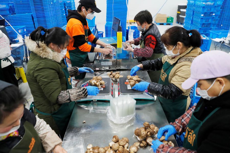 The Bamboo Works 咏竹坊 叮咚买菜击败老对手 马力全开 Where China Stocks Meet Global Investors